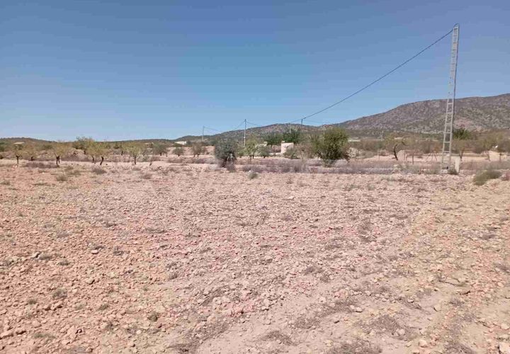 Helårsgrund i Pinoso, Alicante, Pinoso - € 39.000 | Ref: SF0515 - foto 1